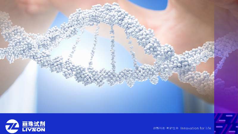 再获认可丨英国上市公司365三款核酸检测产品满分通过国家室间质量评价