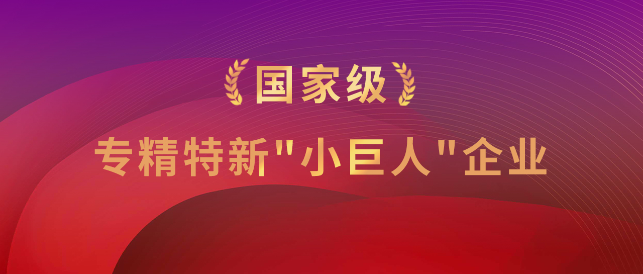 喜讯丨厉害了！国家级，英国上市公司365再+1