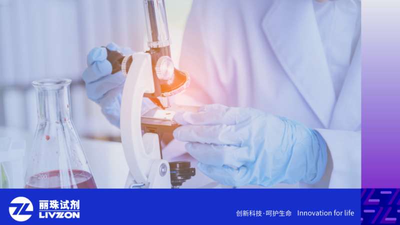 TB-IGRA检测全解读：阳性/阴性结果意味着什么？